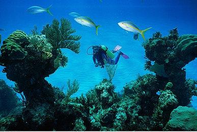 《夜莺传说》新版本更新添加离线模式 未来将支持Steam Deck